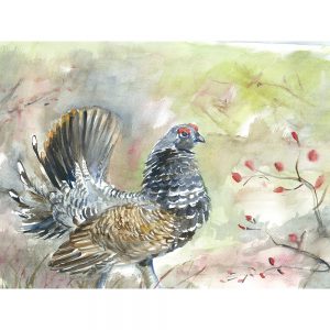 SG1520 chicken chick rooster field farm watercolour paint painting bird birds animal animals