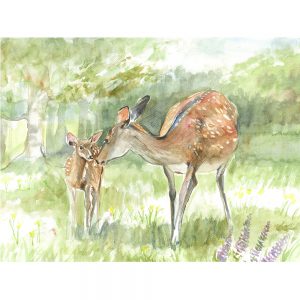 SG1523 dear pair woodland forest wild stag nature animal animals paint painting watercolour