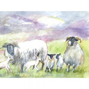 SG1524 sheep lamb field farm wool animal animals green purple watercolour paint paintings ram