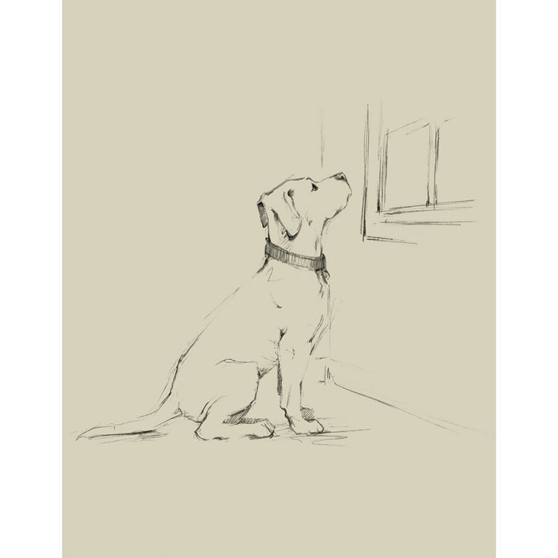 SG1580 waiting for master III dog sketch drawing study lineart