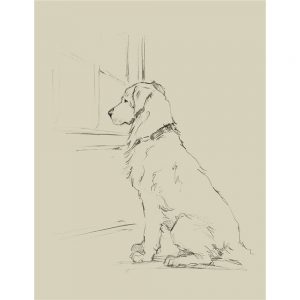 SG1581 waiting for master IV dog sketch drawing study lineart