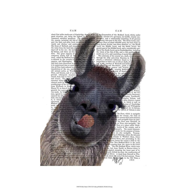 SG1628 silly llama alpaca quirky novel writing type book typography watercolour