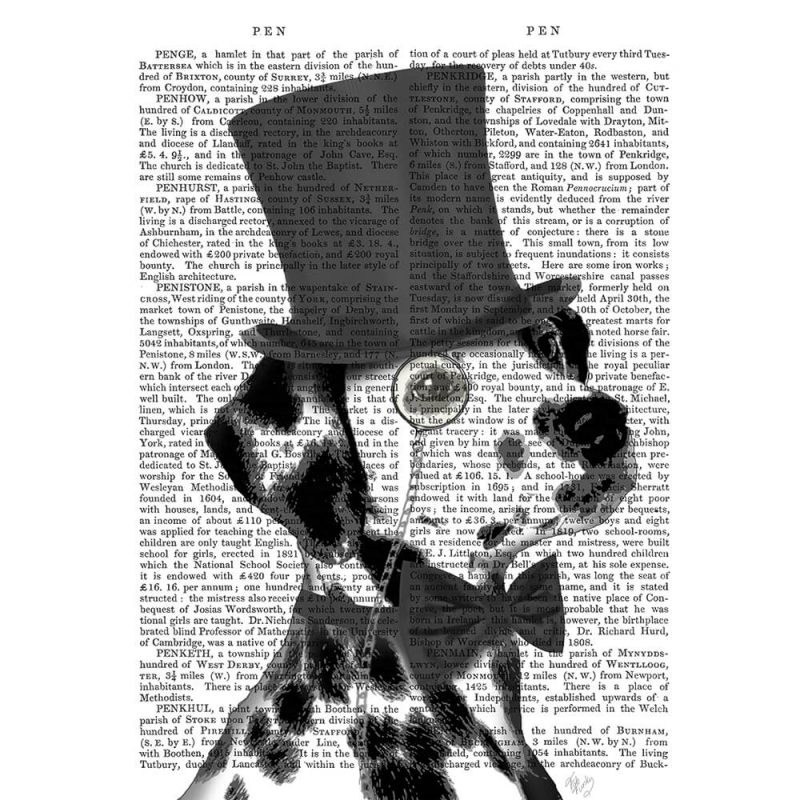 SG1643 dalmatian formal hound dog top hat monocle watercolour novel type writing typography quirky funny whimsical