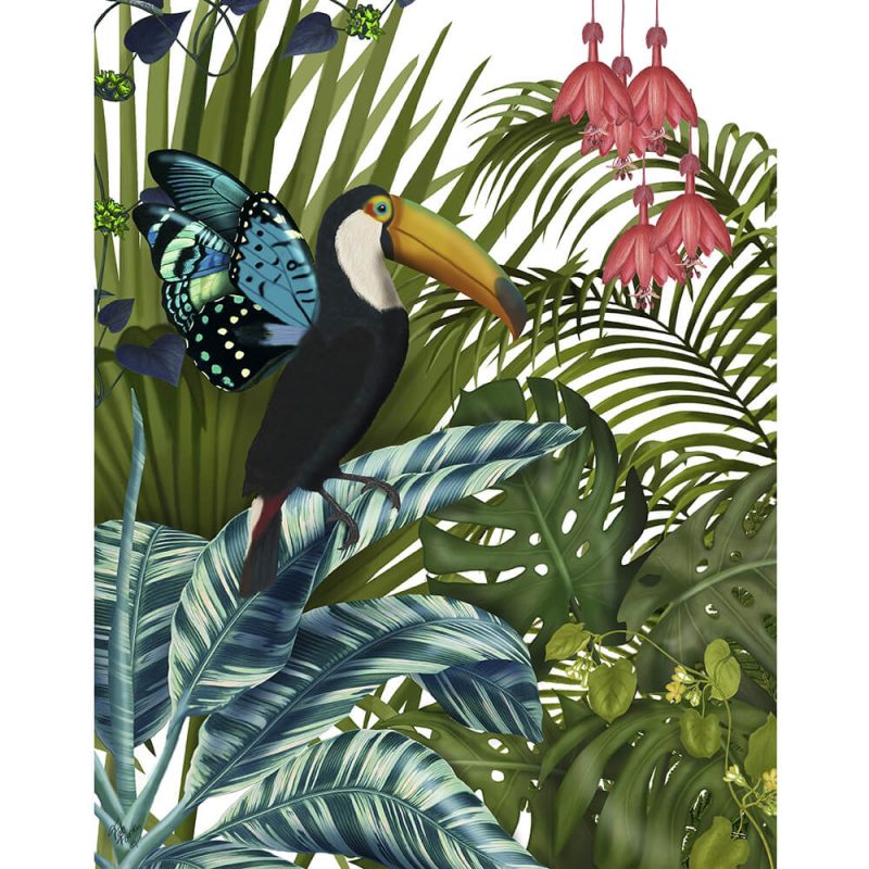 SG1646 toucan in tropical forest bird tropical palm trees nature floral flower