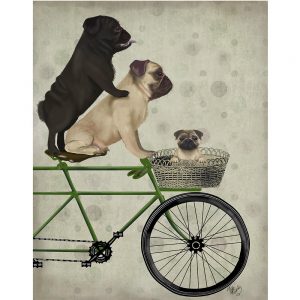 SG1651 pugs on bicycle dogs whimsical quirky painted illustration bike