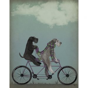 SG1652 schnauzer tandem dogs whimsical quirky painted illustration bike bicycle