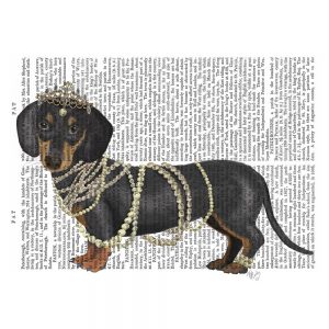 SG1665 dachshund pearls tiara jewels jewellery feminine nature dog type novel book writing typography lady painting illustration quirky whimsical