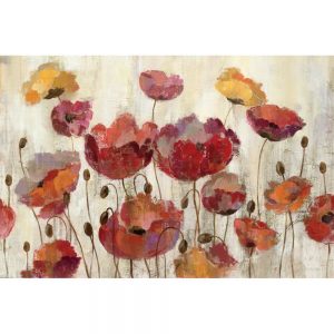 SG1669 poppies red yellow orange floral flowers wild paint painting