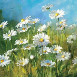 SG1677 dasiy flower floral white yellow blue green paint painting