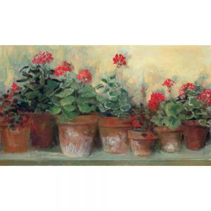 SG1682 pot plants floral flowers red paint painting garden