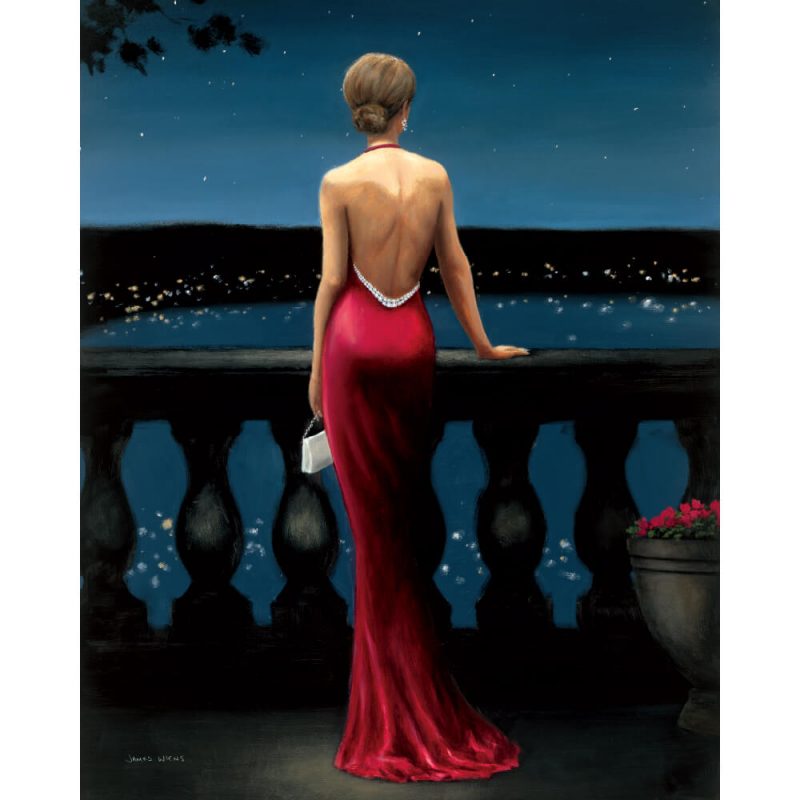 SG1698 woman women lady girl red pink dress classic formal blacony paint painting night sky female