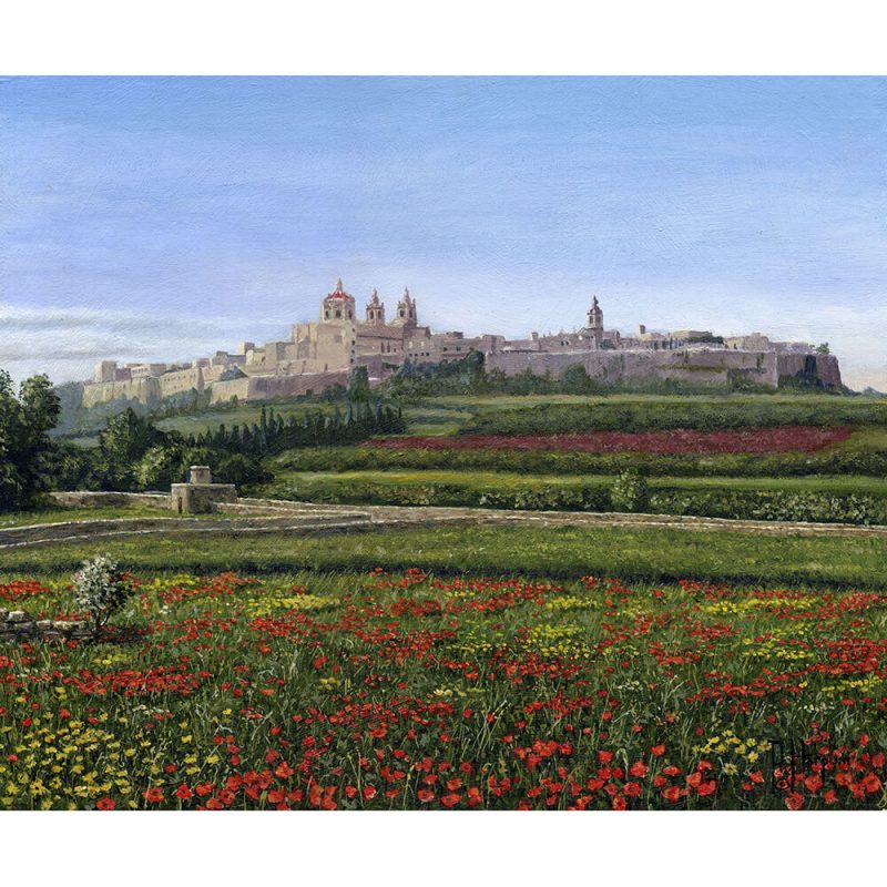 SG1737 mdina poppies malta meadow field flowers buildings architecture