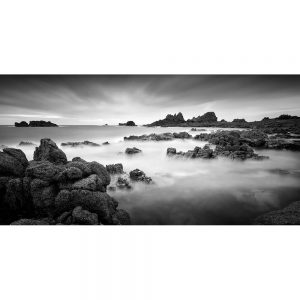 SG1751 landscape mono photograph fog water river sea tree seascape rocks