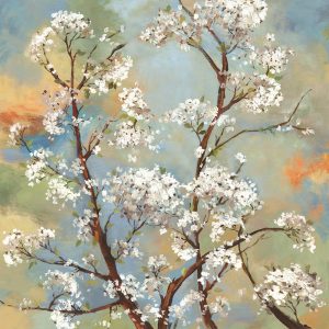 SG1813 branch tree white blossom floral flowers flora