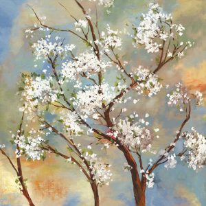 SG1814 branch tree white blossom floral flowers flora
