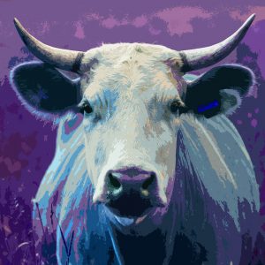 TM1056 cow purple horns
