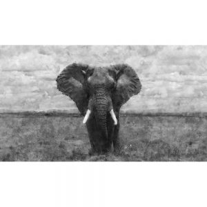 TM1116 elephant plains painterly mono