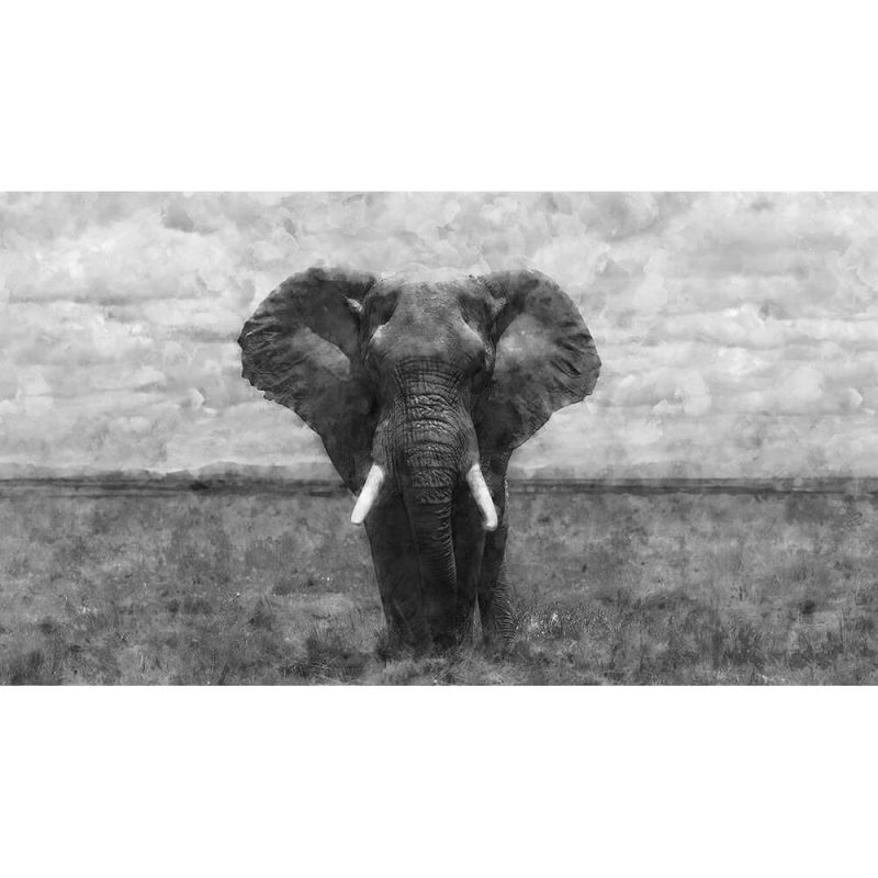 TM1116 elephant plains painterly mono