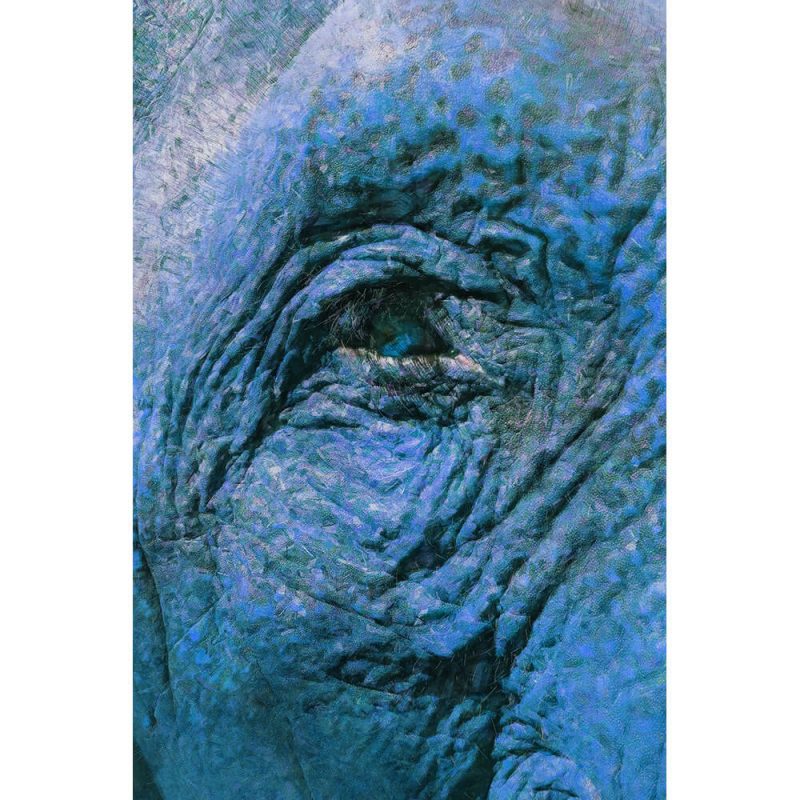 TM1131 elephant eye painterly blues