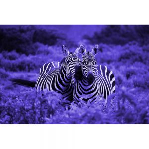 TM1138 zebra friends purple
