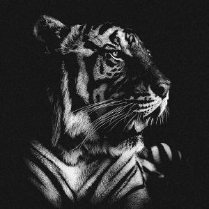 TM1144 tiger nightime mono