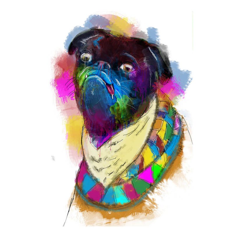 SG1838 pug dogs illustration animals colour splash watercolour digital vibrant colourful