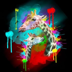 SG1841 giraffe animals calves vibrant colourful colour splash