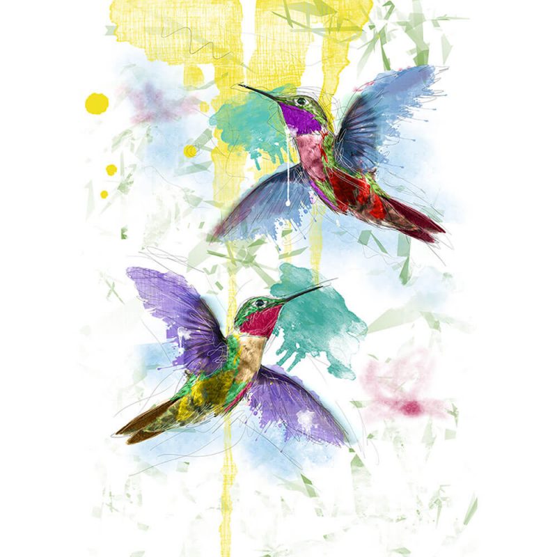 SG1844 birds humming hummingbird paint painting colour splash drip wings fly