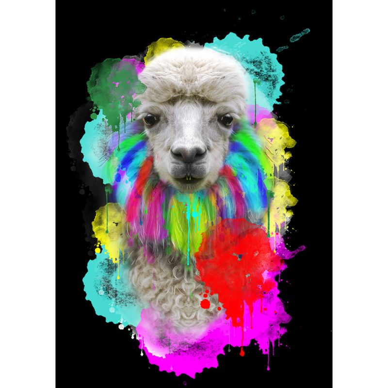 SG1845 lama alpaca wool animals colourful vibrant colour splash ink drip drops illustration graphic