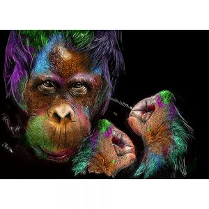 SG1848 monkey ape colour splash vibrant colourful graphic illustration