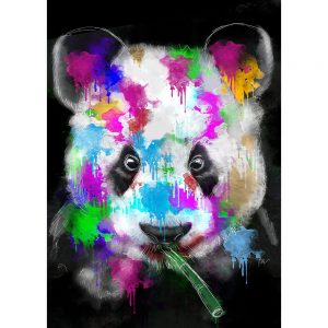 SG1849 panda bear illustration paint splash colour vibrant colourful graphic