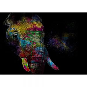 SG1851 elephant animals illustration sketch colour splash graphic vibrant colourful
