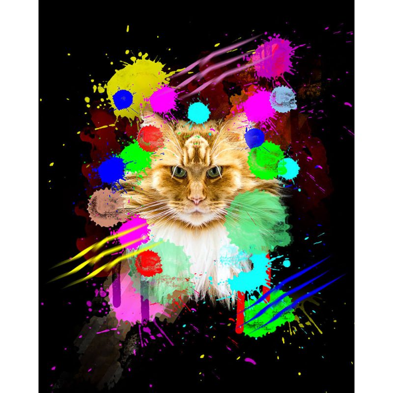 SG1853 feline cats graphic illustration vibrant colourful colour splash