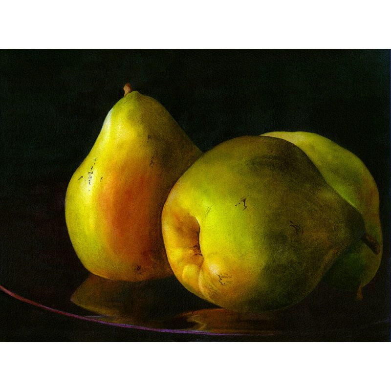 SG1867 pears still life oil paint painting fruit