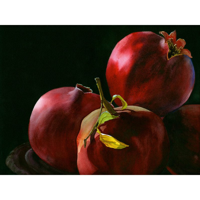 SG1868 pomegranates oil paint painting fruit seeds still life