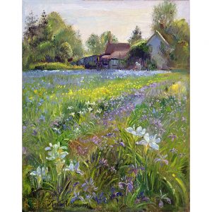 SG1887 cottage idyllic irises landscape paint rural watercolour floral flowers field farm