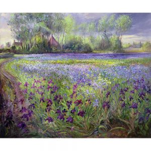 SG1889 flowers floral purple blue footpath irises landscape market garden painting path watercolour