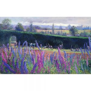 SG1890 delphinium field horticulture landscapes market gardening garden painting watercolour pink blue purple
