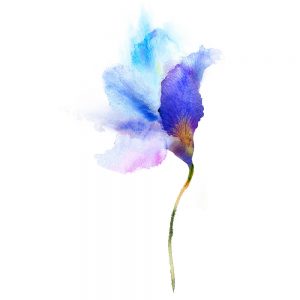 SG1961 abstract art watercolor flower illustration