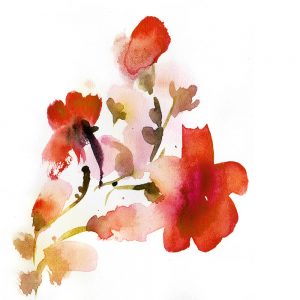 SG1967 art abstract floral watercolour red pink