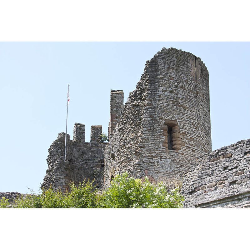 SG1985 dudley castle england