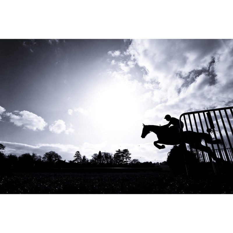 SG2016 race horse jumping hurdle silhouette