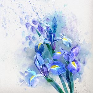 SG2034 watercolour floral background irises