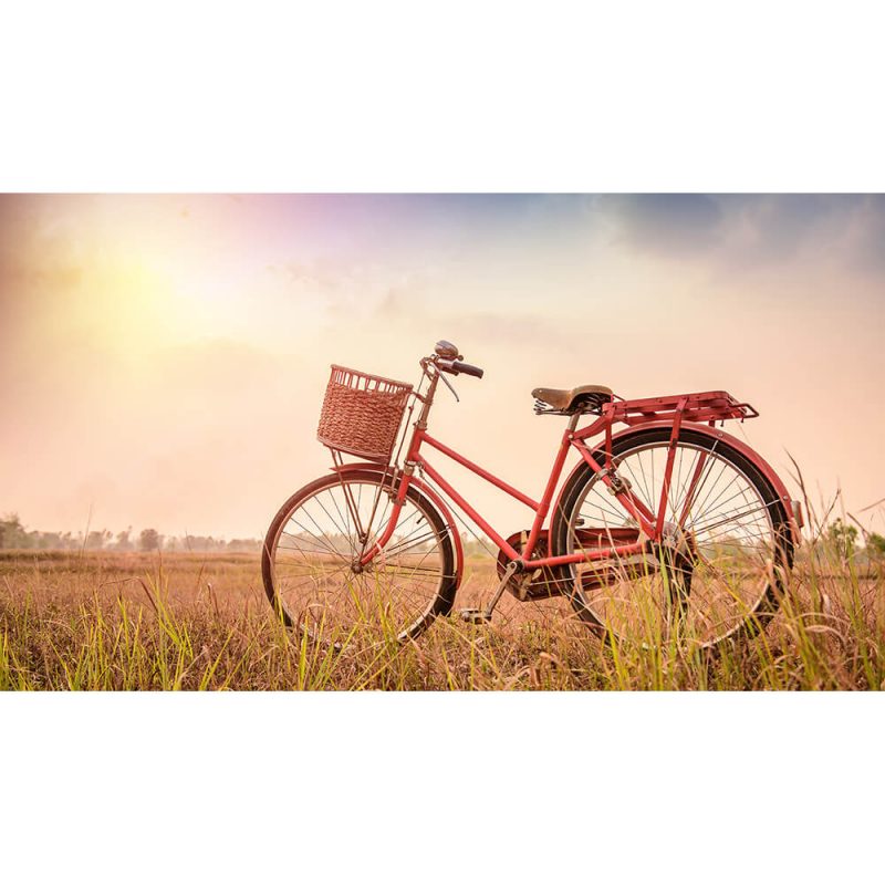 SG2051 bicycle pink landscape sunset vintage