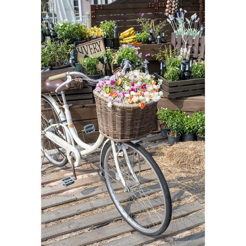 SG2095 bicycle pink flowers garden