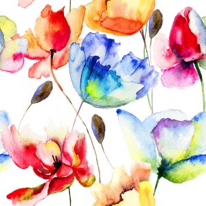 SG2104 seamless wallpaper poppy tulips flowers watercolour