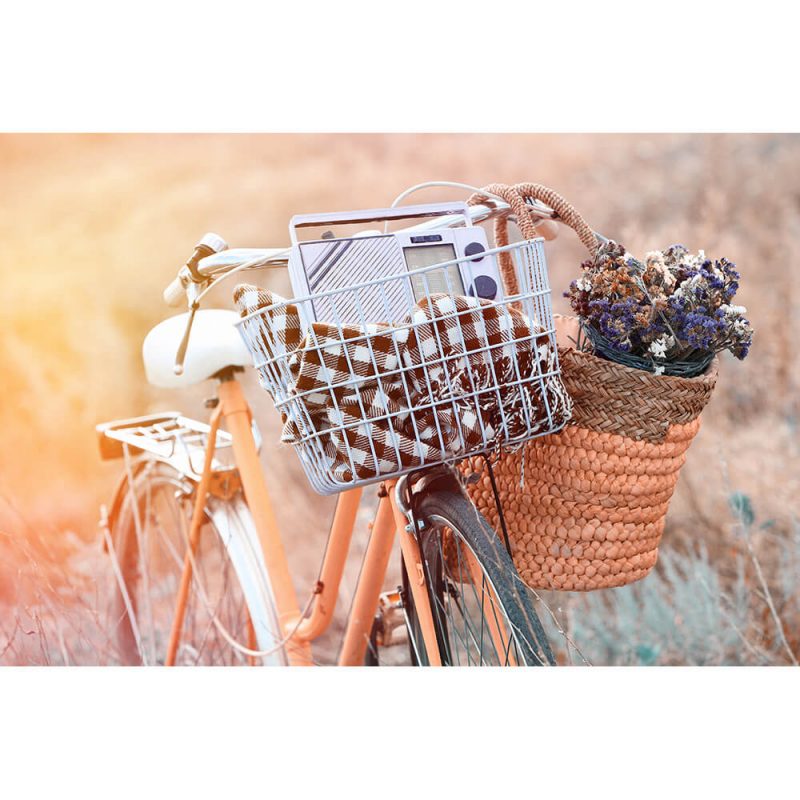 SG2156 bicycle basket flowers meadow retro
