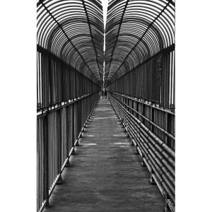 SG2163 bridge tunnel black white photo abstract architecture columns street