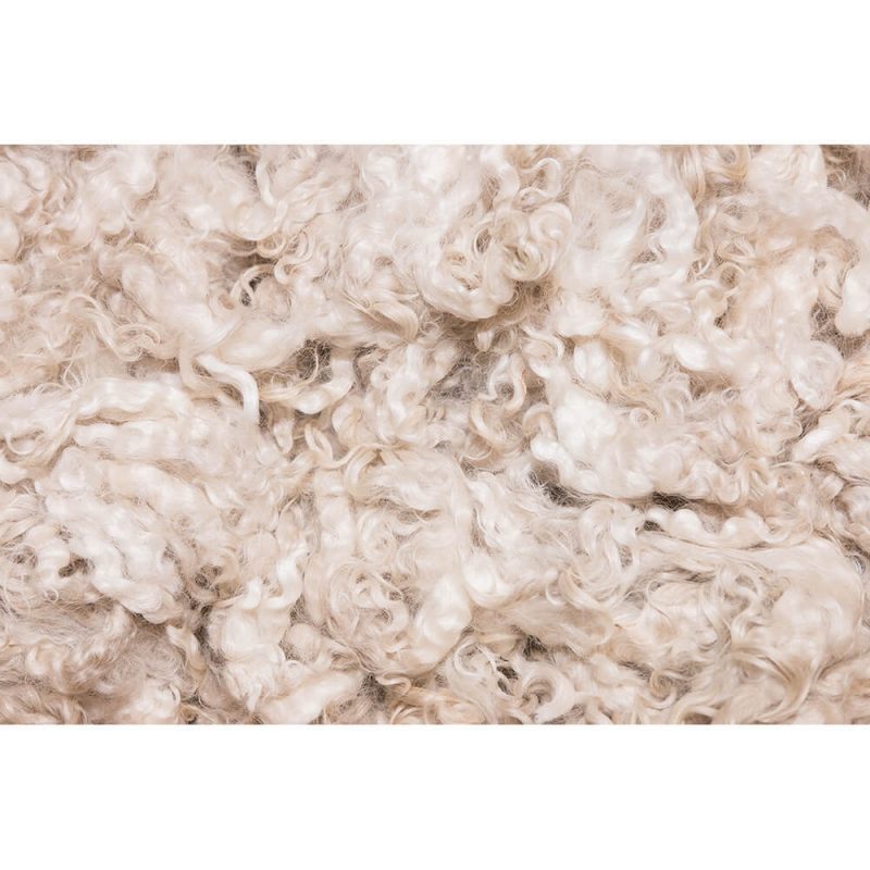 SG2210 unprocessed merino wool