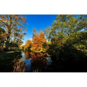 SG2283 autumn colours netherlands holland dutch